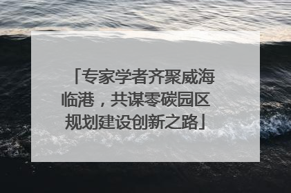 专家学者齐聚威海临港，共谋零碳园区规划建设创新之路