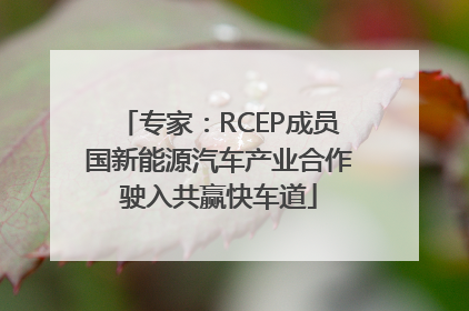 专家：RCEP成员国新能源汽车产业合作驶入共赢快车道