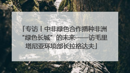 专访丨中非绿色合作播种非洲“绿色长城”的未来——访毛里塔尼亚环境部长拉格达夫