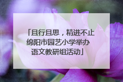 且行且思，精进不止 绵阳市园艺小学举办语文教研组活动