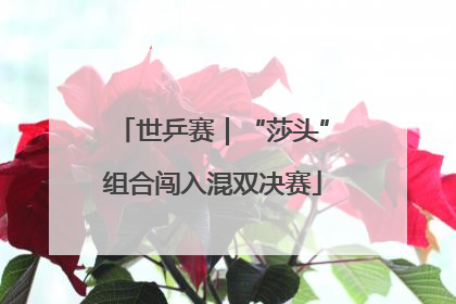 世乒赛｜“莎头”组合闯入混双决赛