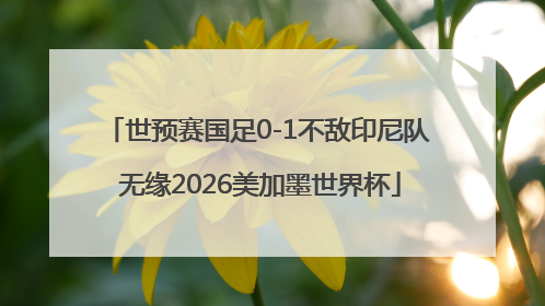 世预赛国足0-1不敌印尼队 无缘2026美加墨世界杯