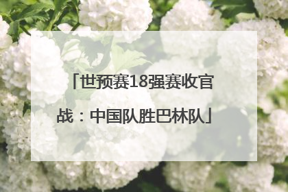 世预赛18强赛收官战：中国队胜巴林队