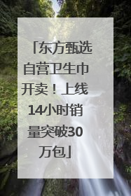 东方甄选自营卫生巾开卖！上线14小时销量突破30万包