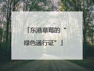 东港草莓的“绿色通行证”