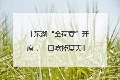 东湖“全荷宴”开席，一口吃掉夏天