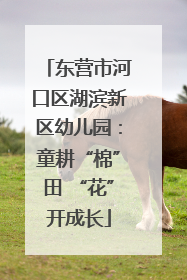 东营市河口区湖滨新区幼儿园：童耕“棉”田 “花”开成长