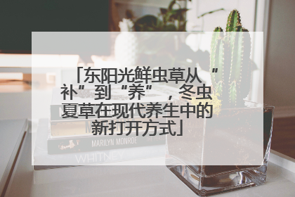 东阳光鲜虫草从“补”到“养”，冬虫夏草在现代养生中的新打开方式
