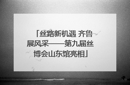 丝路新机遇 齐鲁展风采——第九届丝博会山东馆亮相