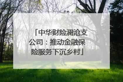 中华财险澜沧支公司：推动金融保险服务下沉乡村