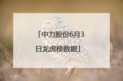 中力股份6月3日龙虎榜数据