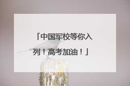 中国军校等你入列！高考加油！