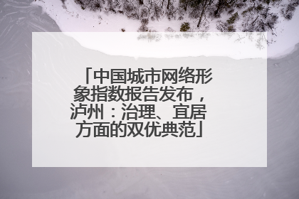 中国城市网络形象指数报告发布，泸州：治理、宜居方面的双优典范