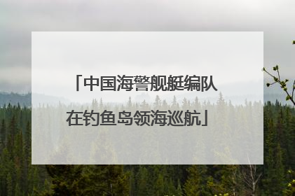 中国海警舰艇编队在钓鱼岛领海巡航
