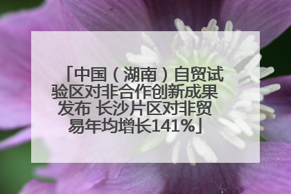 中国（湖南）自贸试验区对非合作创新成果发布 长沙片区对非贸易年均增长141%