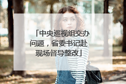 中央巡视组交办问题，省委书记赴现场督导整改