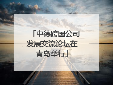 中德跨国公司发展交流论坛在青岛举行