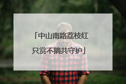 中山南路荔枝红 只赏不摘共守护