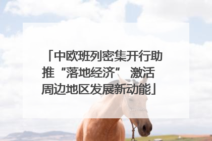 中欧班列密集开行助推“落地经济” 激活周边地区发展新动能