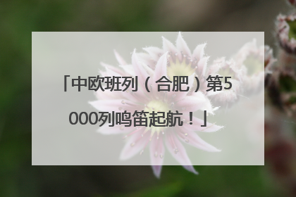 中欧班列（合肥）第5000列鸣笛起航！
