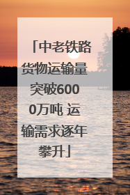 中老铁路货物运输量突破6000万吨 运输需求逐年攀升