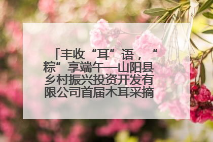 丰收“耳”语，“粽”享端午—山阳县乡村振兴投资开发有限公司首届木耳采摘活动盛大启幕