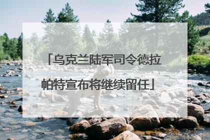 乌克兰陆军司令德拉帕特宣布将继续留任