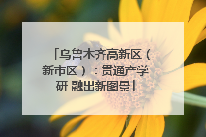 乌鲁木齐高新区（新市区）：贯通产学研 融出新图景