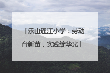 乐山通江小学：劳动育新苗，实践绽华光