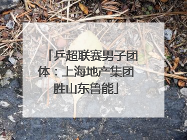 乒超联赛男子团体：上海地产集团胜山东鲁能