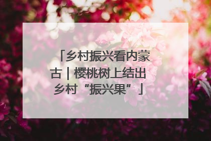 乡村振兴看内蒙古｜樱桃树上结出乡村“振兴果”