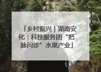 乡村振兴｜湖南安化：科技服务团“把脉问诊”水果产业