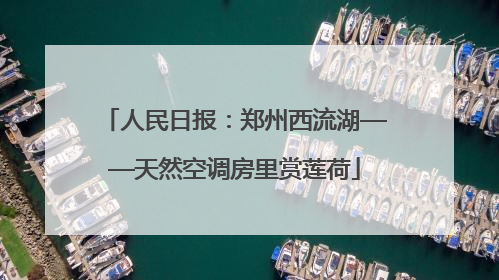 人民日报：郑州西流湖——天然空调房里赏莲荷