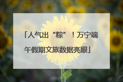 人气出“粽”！万宁端午假期文旅数据亮眼