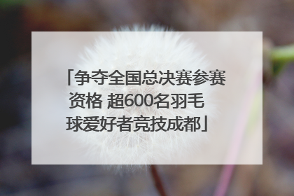 争夺全国总决赛参赛资格 超600名羽毛球爱好者竞技成都