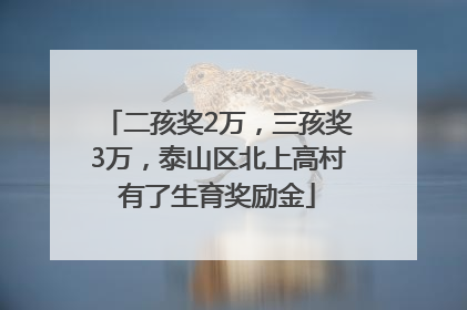 二孩奖2万，三孩奖3万，泰山区北上高村有了生育奖励金