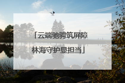 云端驰骋筑屏障 林海守护显担当