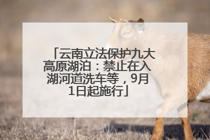 云南立法保护九大高原湖泊：禁止在入湖河道洗车等，9月1日起施行
