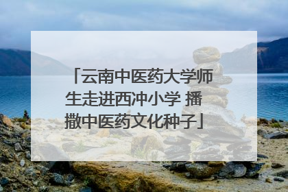 云南中医药大学师生走进西冲小学 播撒中医药文化种子