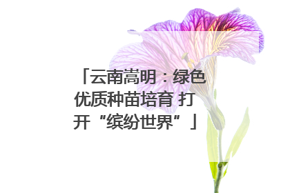 云南嵩明:绿色优质种苗培育 打开“缤纷世界”