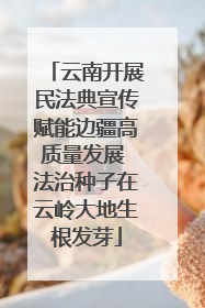云南开展民法典宣传赋能边疆高质量发展 法治种子在云岭大地生根发芽