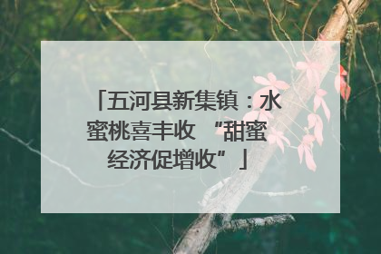 五河县新集镇：水蜜桃喜丰收 “甜蜜经济促增收”