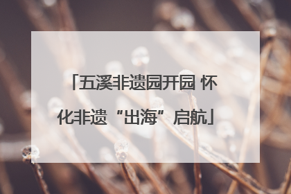 五溪非遗园开园 怀化非遗“出海”启航