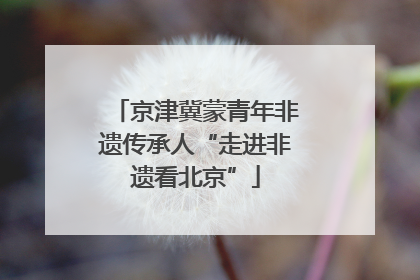 京津冀蒙青年非遗传承人“走进非遗看北京”