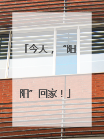 今天，“阳阳”回家！