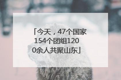 今天，47个国家154个团组1200余人共聚山东