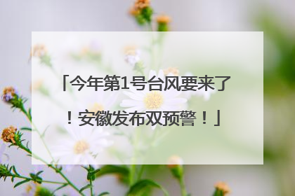 今年第1号台风要来了！安徽发布双预警！