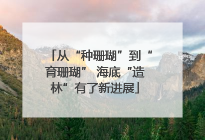 从“种珊瑚”到“育珊瑚” 海底“造林”有了新进展