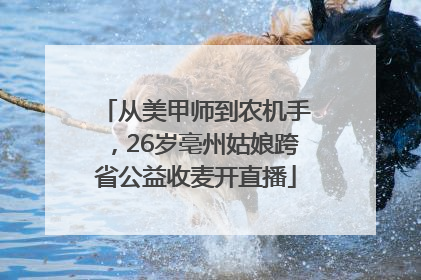 从美甲师到农机手，26岁亳州姑娘跨省公益收麦开直播