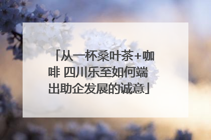 从一杯桑叶茶+咖啡 四川乐至如何端出助企发展的诚意